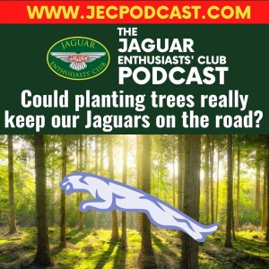 Episode 69: Could planting trees really keep our Jaguars on the road?