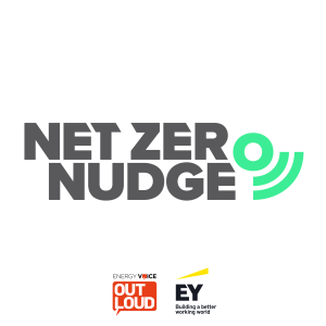 Net Zero Nudge 02: decarbonised energy