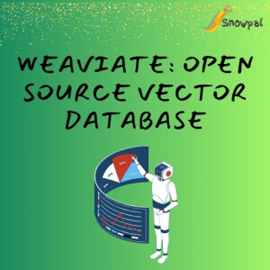 [Paid Course] Snowpal Education: (Weaviate) Open Source Vector Database