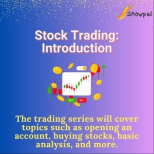 Stock Trading for Dummies: A high level introduction
