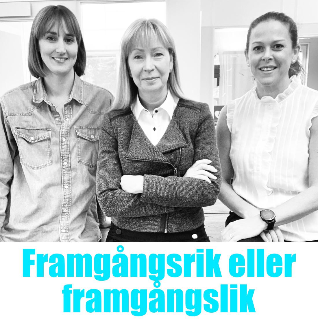 Framgångsrik eller framgångslik
