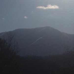 live_20220121_055309.aac