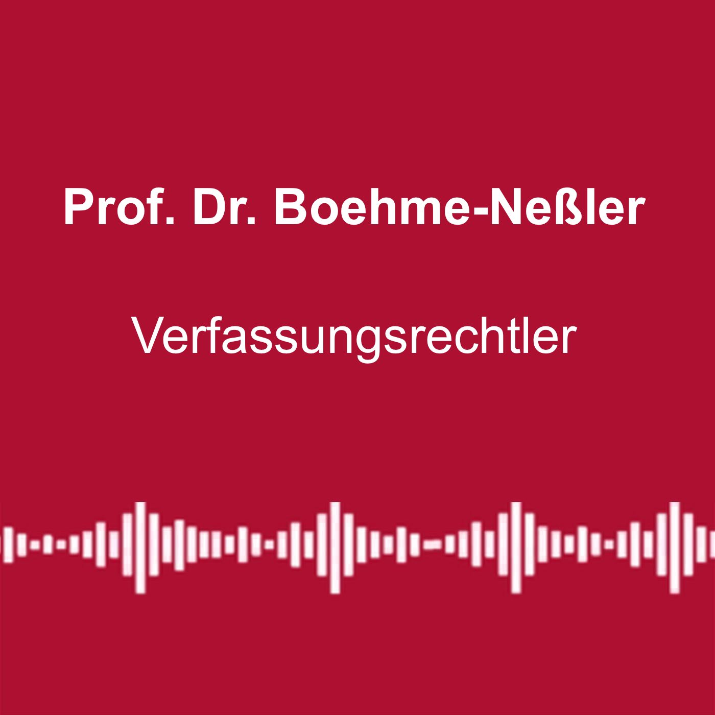 #276: „Regierung agiert verfassungswidrig“ - mit Prof. Dr. Boehme-Neßler