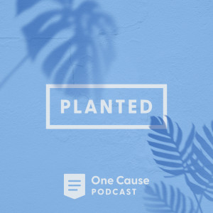Planted – Part 3