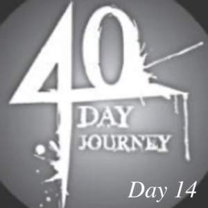 Journey to health 40 day goal: Day 14