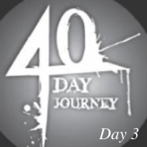 Journey to health 40 day goal: Day 3