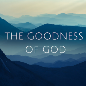 The Goodness of God 13: How God comforts us with his rod and staff part 1