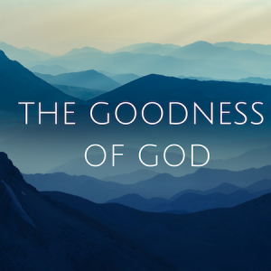 The Goodness of God 11: Walking through the rough valleys of life part 1