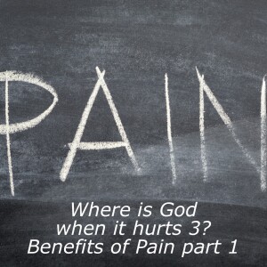 Where is God when it hurts (3)?: Benefits of pain part 1