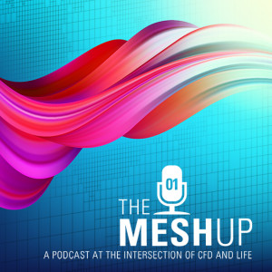 Episode 1: Mesh Up or Mess Up?