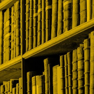 LNB Letonikas un Baltijas centra vadītājas Kristīnes Zaļumas stāsts par muižu bibliotēku kolekcijām.
