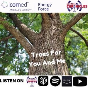 Trees For You And Me | Ep.575