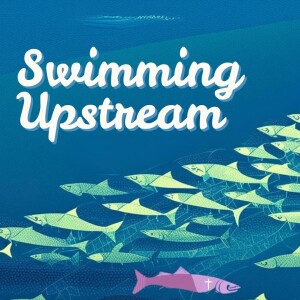 Marcy 9, 2024 Swimming Upstream - Go Against the Flow