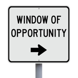 Episode 22 “Window of Opportunity”