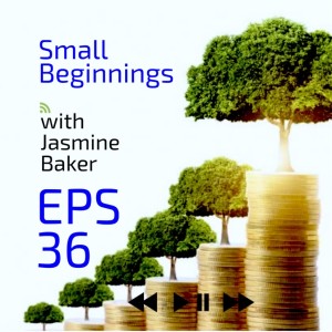 Episode 36: Small Beginnings