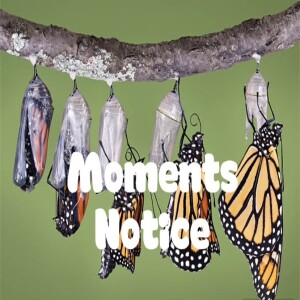 Episode 84: A Moment’s Notice