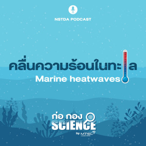 ก่อ กอง SCIENCE EP.6 - คลื่นความร้อนในทะเล Marine heatwaves