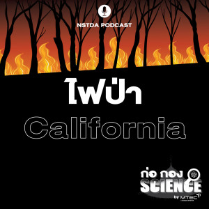 ก่อ กอง SCIENCE EP.10 - ไฟป่า California