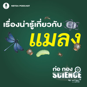 ก่อ กอง SCIENCE EP.35 - เรื่องน่ารู้เกี่ยวกับแมลง