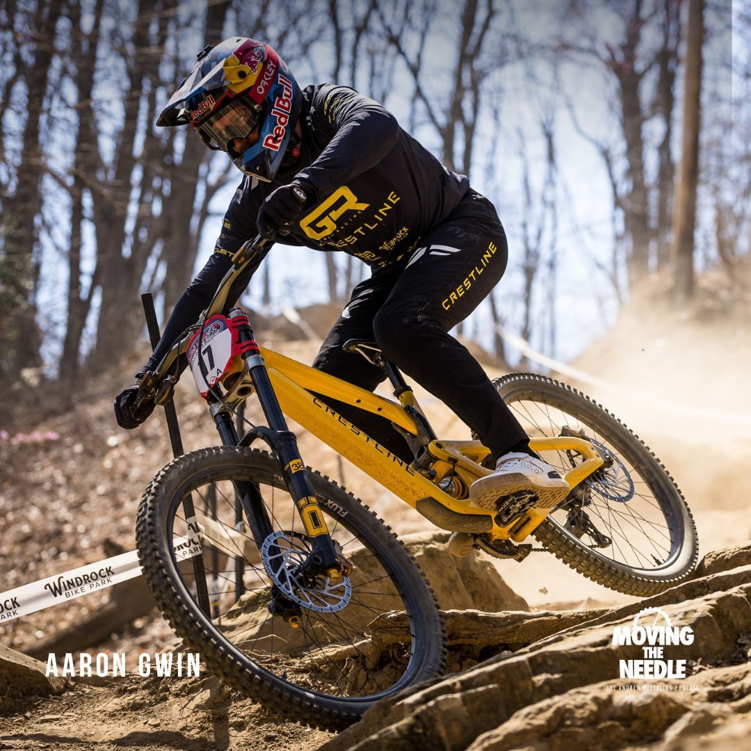 MOVING THE NEEDLE : The Andrew Neethling Podcast