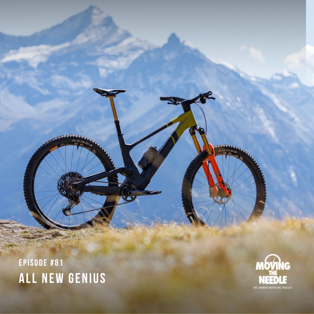 MOVING THE NEEDLE : The Andrew Neethling Podcast
