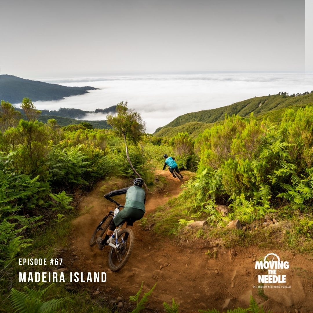 MOVING THE NEEDLE : The Andrew Neethling Podcast