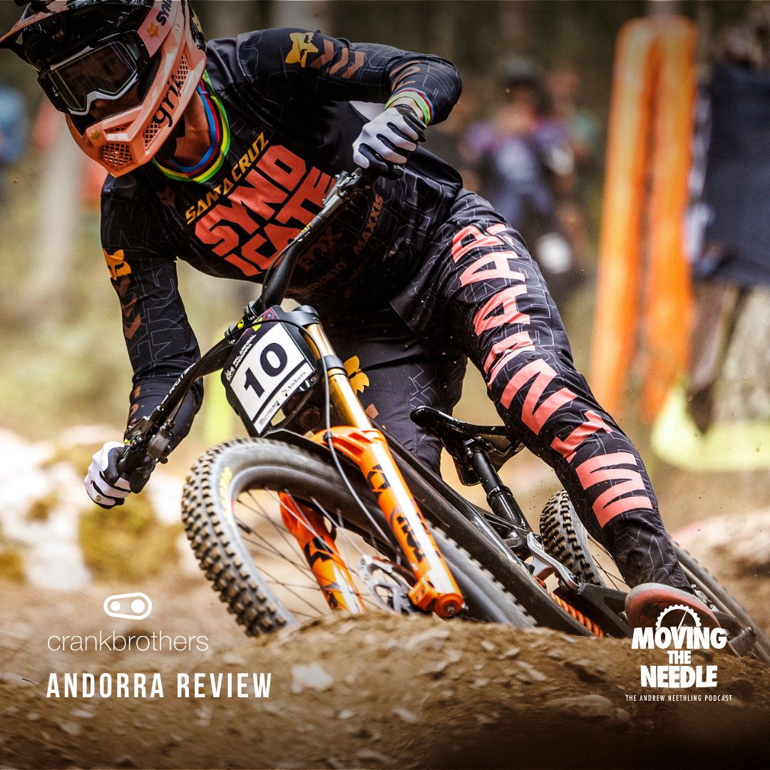 MOVING THE NEEDLE : The Andrew Neethling Podcast