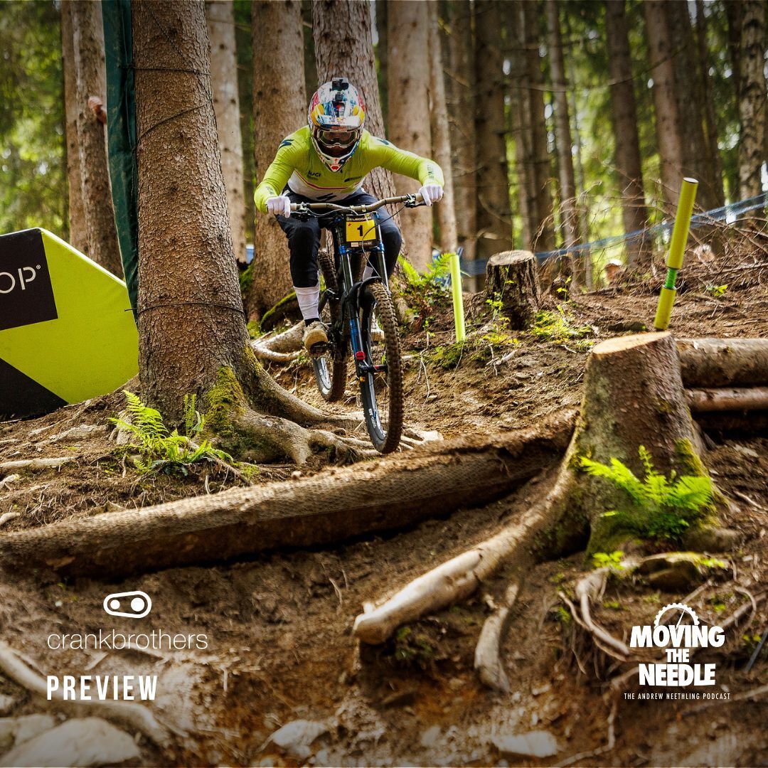 MOVING THE NEEDLE : The Andrew Neethling Podcast