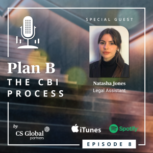Episode 8: The CBI Process