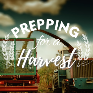 Prepping for a Harvest | Pastor Pat Rankin | August 14, 2022