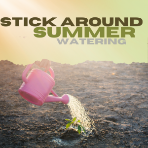 Stick Around Summer | Watering Pt 3 | Pastor Pat Rankin | April 21, 2024