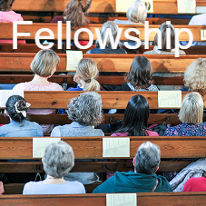 Fellowship: The Testimony of the Fellowship (7/18/21)
