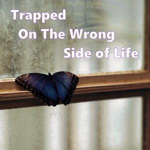 Trapped On The Wrong Side of Life