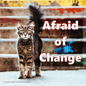 Afraid Of Change