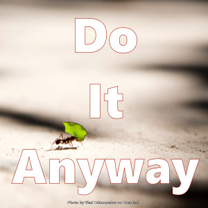 Do It Anyway