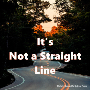 Success Is Not A Straight Line