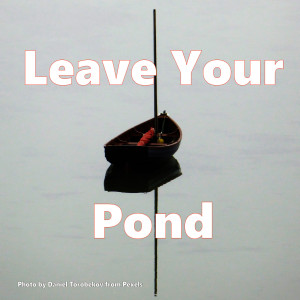 Leave Your Pond