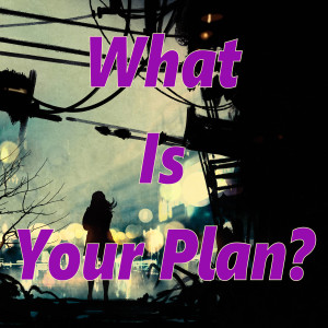 What's Your Plan?