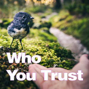 Who You Trust