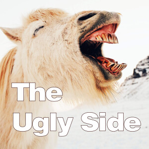 The Ugly Side