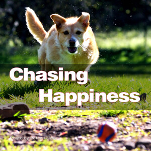 Chasing Happiness