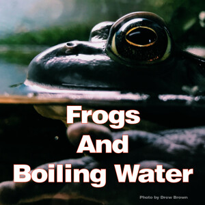 Frogs and BoilingWater