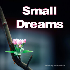 Small Dreams...