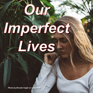 Our Imperfect Lives