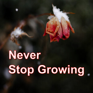 Never Stop  Growing