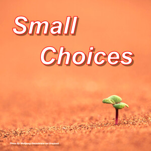 Small Choices