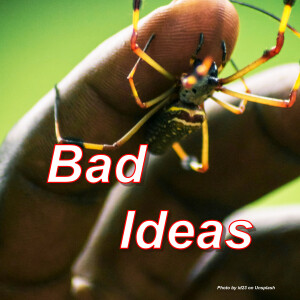 Bad Ideas...