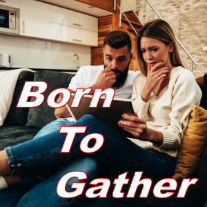Born To Gather...