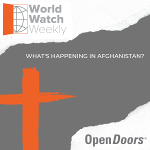 What's Happening in Afghanistan?