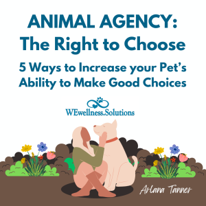 5 Ways to Increase your PET’s Ability to Make GOOD Choices
